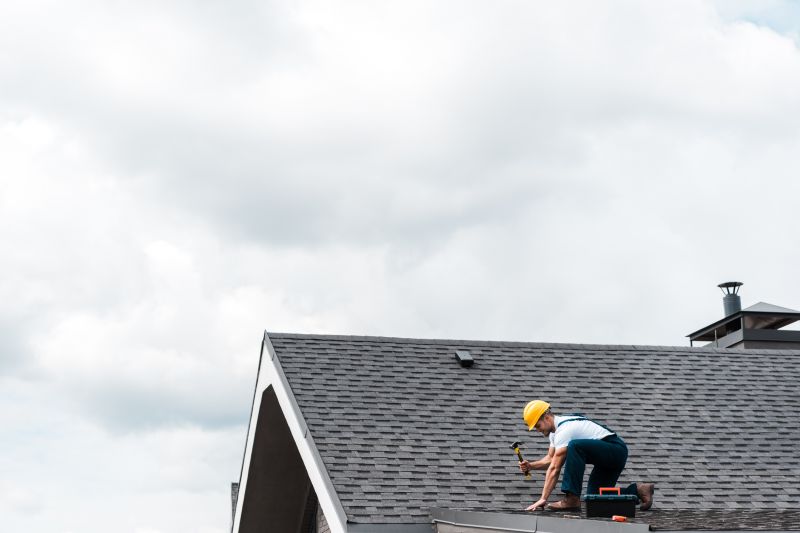Shingle Maintenance