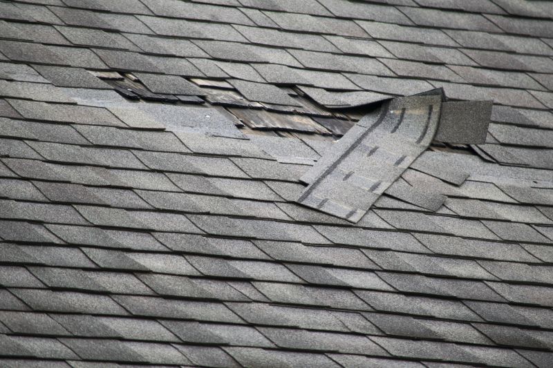 Shingle Repair